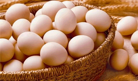 今日蛋价：2022.10.25全国鸡蛋价格