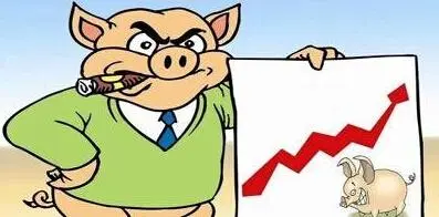 猪价开始下跌，年底生猪行情怎样？最新判断来了！