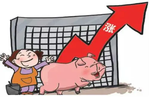 官方预测猪价：本周生猪价格或小幅上涨！1.6亿头猪已经在路上......