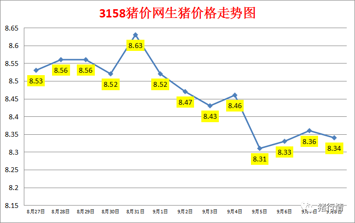 今日猪价：2023.9.8全国外三元生猪价格涨跌表