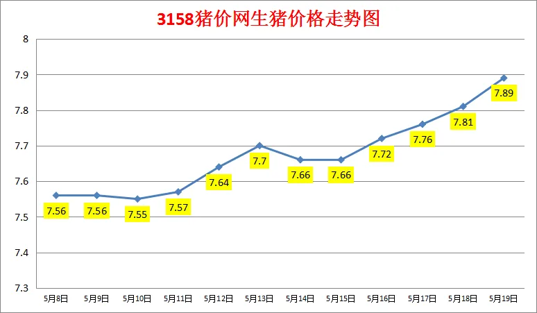 2024年5月19日生猪价格涨跌表：均价7.89元/斤